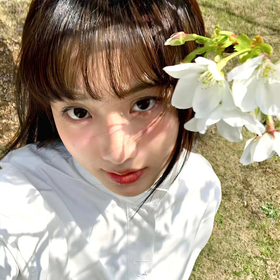 悠然见南山